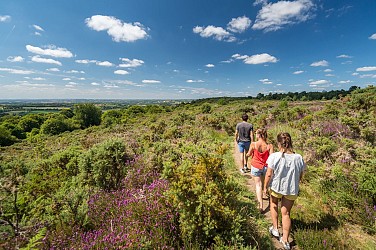 Les Landes de Locarn