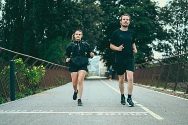 Les panoramas cherbourgeois