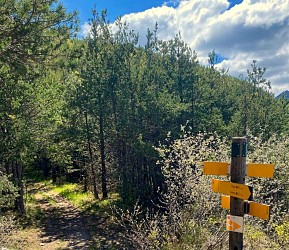 Tour de la Tête du Pape (N°18)