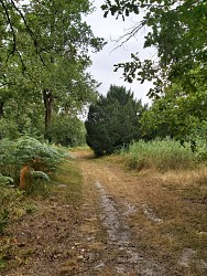 Balades à roulettes - Chalet François Mauriac - Saint-Symphorien