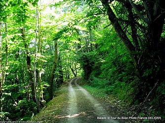 Circuit du Puech de Bosc