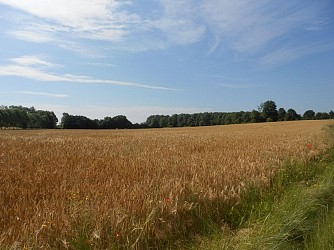 De l'étang à la source de L'Orbiquet