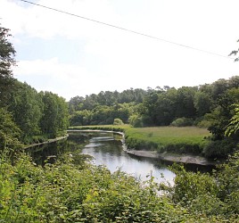 Quimperlé - Le tour de la forêt de Toulfoën