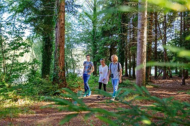Petite boucle autour des lacs d'Hostens