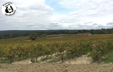 Boucle cyclo-découverte de la Garrigue
