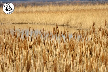 Randonnée D’un canal à l’autre en AOC Costières