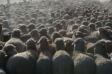 Boucle cyclo-découverte du Vidourle