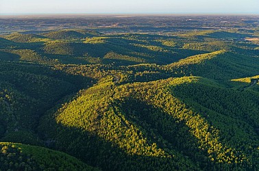 Parcours VTT Le Bois des Lens.