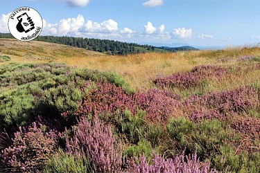 Randonnée Les Drailles perdues