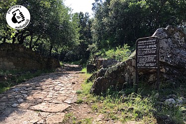 Randonnée Le chemin de Masmolène