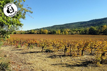 Randonnée Le sentier du terroir