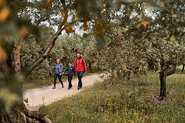 Parcours VTT les deux forêts
