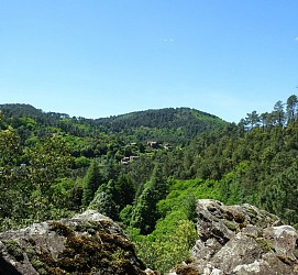 Parcours pour la vue Arielle Dumas