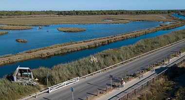 Voie verte de L'Espiguette