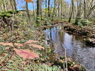 Pont des Farges et de Chanterane