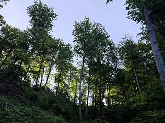 Promenade entre monts et étangs