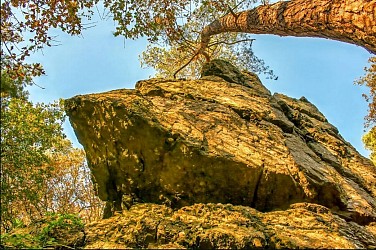 Chemin des Cathédrales
