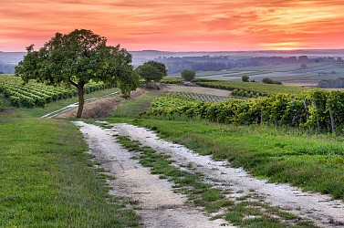Circuit de la Garenne | Salles d'Angles