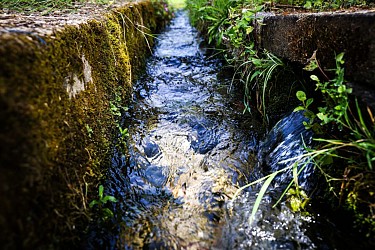 Circuit | Chemin des Vignes | Mosnac-St-Simeux