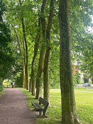 Balade à Roulettes® - Le tour des prairies de l'Averie (n°13)