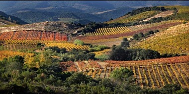 CIRCUIT N°3 AU CŒUR DES SCHISTES – SITE VTT-FFC CAROUX EN HAUT-LANGUEDOC