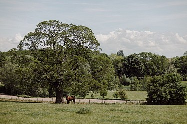 Horrues et ses sentiers : Un lieu chargé d'histoire