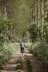 Naast et ses sentiers : Entre nature et pierre