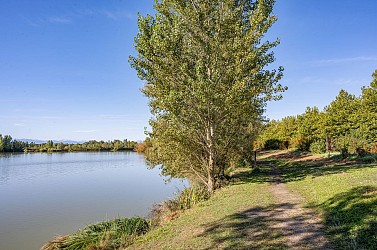 Tour des étangs Mazères