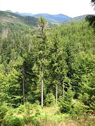 Walking tour la varinchater (n°25)