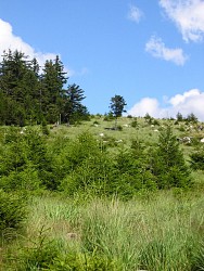 Circuit pédestre - Les Pingouins