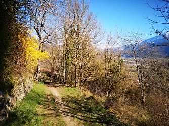 Les terrasses d'Ayse
