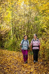 Autour de l'église Saint-Saturnin à Haget (AAG PR1)