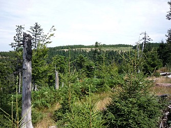 Walking tour les rouges terres (n°14)