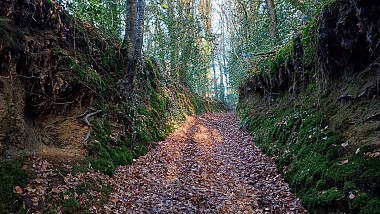 Milin ar Pont - variante | Plufur