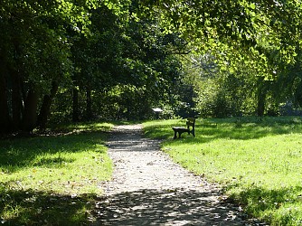 Au cœur du Parc de Robinson