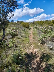 Le Sentier de la Truffe