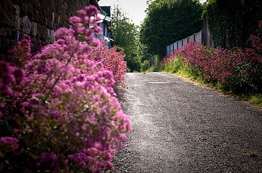 Le Chemin des Crêtes