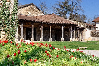Randonnée pédestre : la rivière d'Ain, un parcours en liberté
