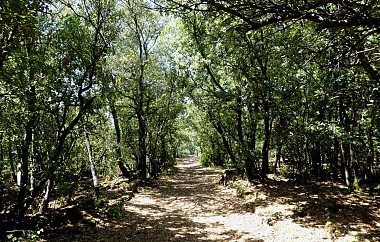 Tour du plateau de Ganagobie