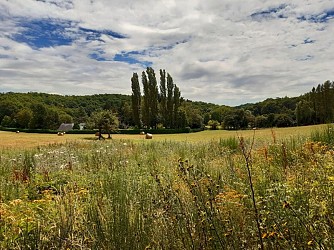 Entre vignes et Ramberge