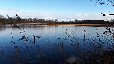 Ronde en Dombes