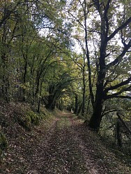 Boucle du Coustal à St Julien de Lampon