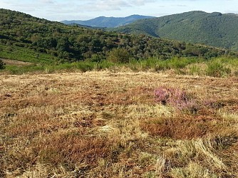 Circuit des genêts - jaune