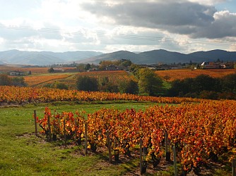 Les sentiers du Gaulois