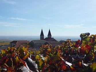 Les sentiers du Gaulois