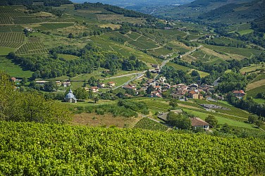 Circuit des genêts - rouge