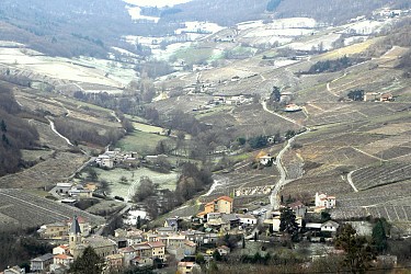 Circuit des genêts - vert
