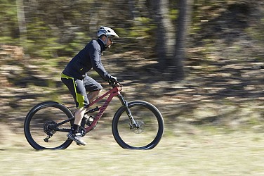 VTT n°3 - La maison forestière