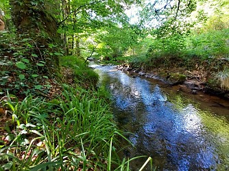 La Grifoulie et le Jaoul
