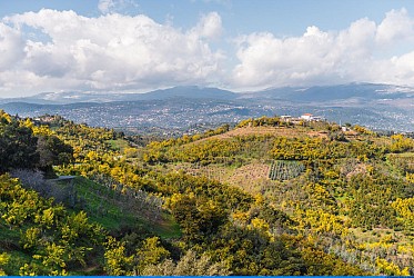 Randonnée : Les Crêtes de Tanneron- PR10